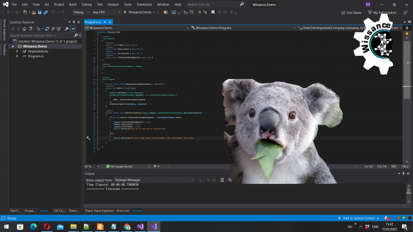 Разработка программного обеспечения на заказ (Wissance)