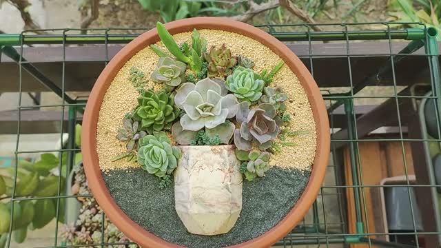 Композиция из суккулентов в виде букета смотреть онлайн