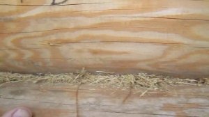 Правильная прокладка бревен сруба на мох