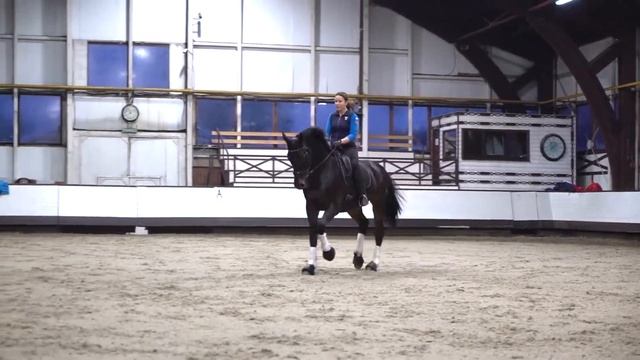 Выездка. Прибавленная рысь. ?Онлайн #школаЭклектика ? смотреть онлайн