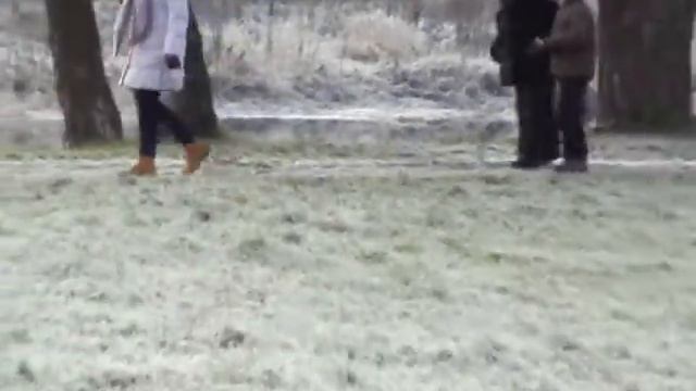 Джек Расселы. Встреча брата и сестры. смотреть онлайн