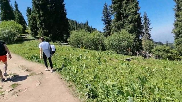 Подъём На Кок-Жайляу Алматы 2022 «Зелёное пастбище» смотреть онлайн