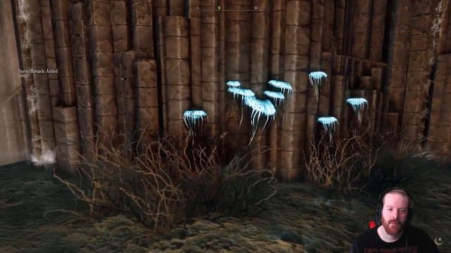 Skyrim Modded Relic Hunter Playthrough | #42 | Nebarra The High Elf смотреть онлайн