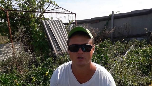 Магическая веха прошлого