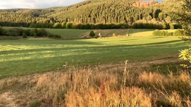 Собака гуляет | Boston Terrier | Dog For A Walk