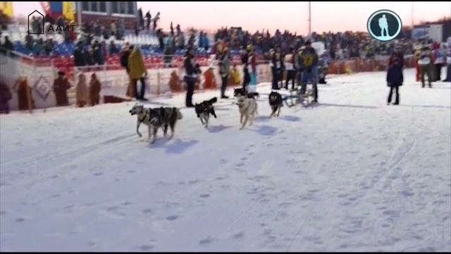 Берингия 2015