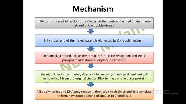 Rolling circle replication By Neha Ma'am смотреть онлайн