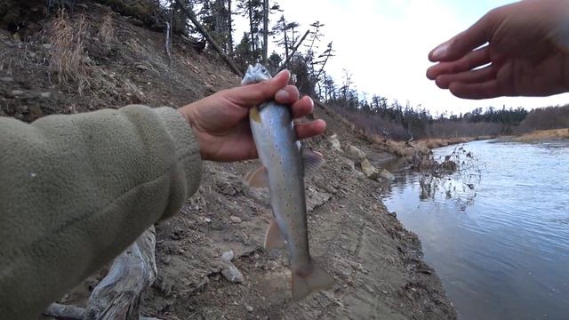 Осенний голец, китовый ус и суровое море смотреть онлайн
