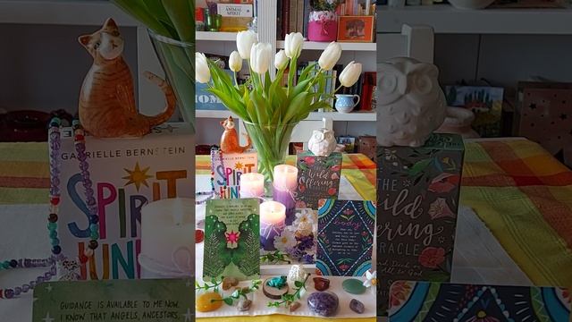 Shaman Oracle Reading for Cancer ♋ Spirit Junkie: Guidance. Wild Offering: Body. смотреть онлайн