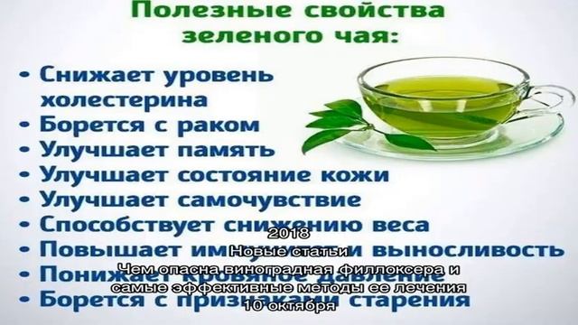 Полезные свойства ирги смотреть онлайн