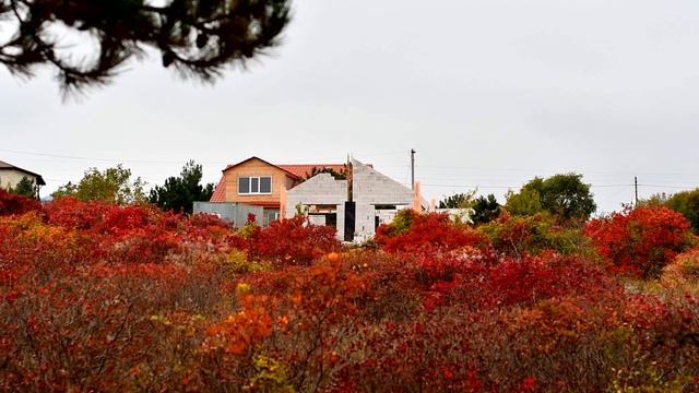 Коттеджный поселок 