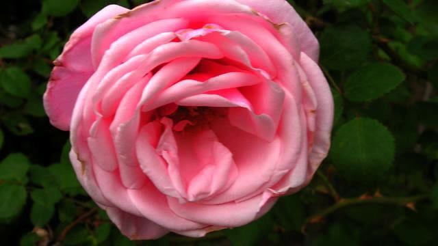 Слушать самую свежую русскую музыку для сна онлайн смотреть онлайн