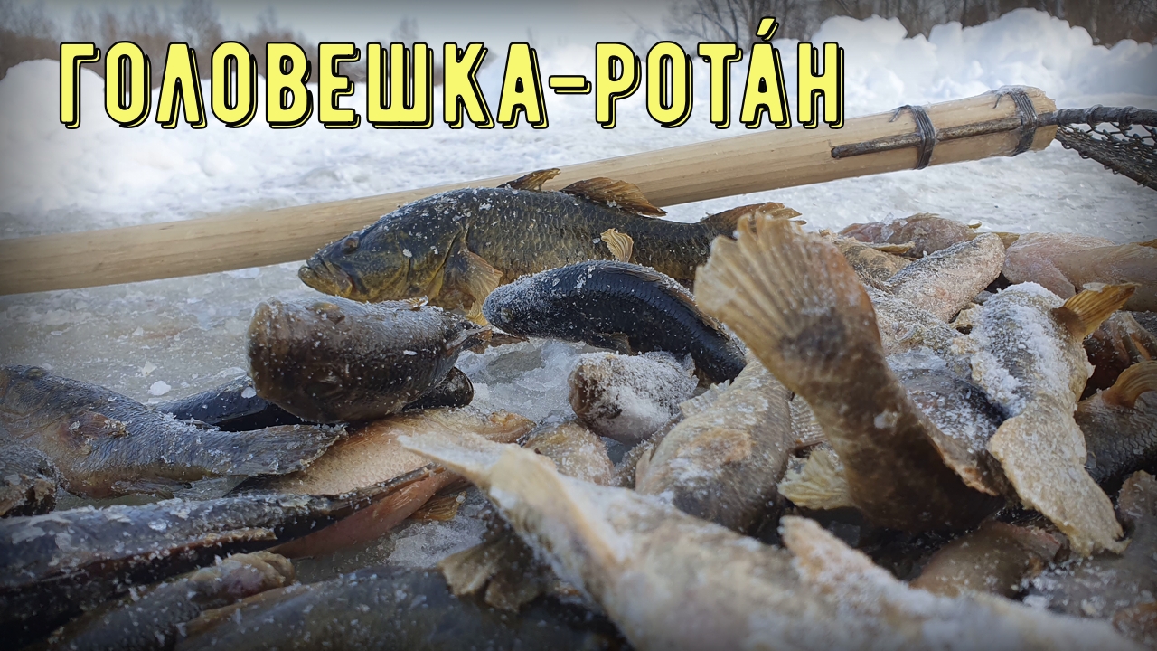 Закрываем сезон ловли ротана. смотреть онлайн