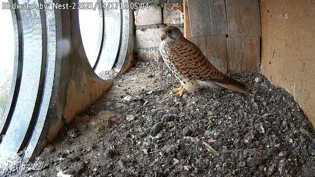 Гроза - 17 апреля 2021