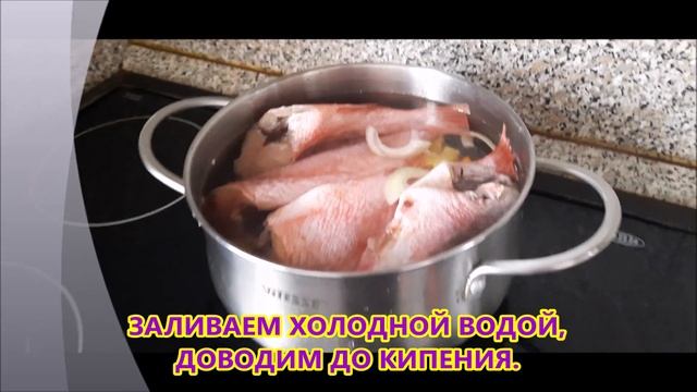 ГОТОВИМ РЫБНЫЙ СУП.