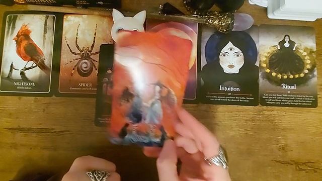 The Week Ahead Timeless Tarot and Oracle Pick-a-Card Reading on the Next 7 Days! смотреть онлайн