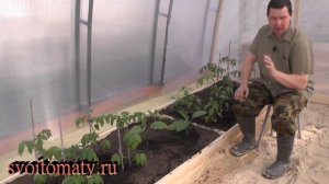 Малообъемная грядка для раннего урожая в теплице