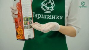 Розы питомника Братья Топалович. Краткий обзор.