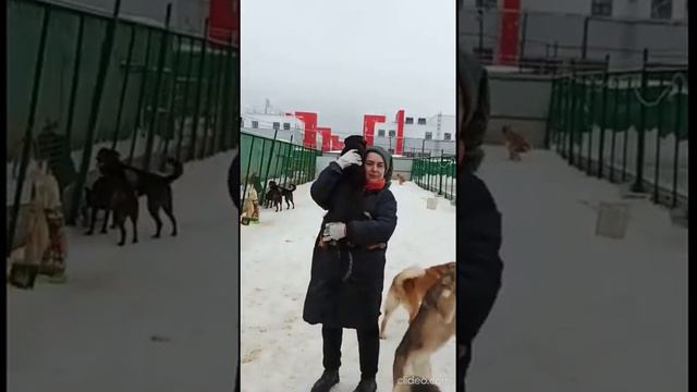 С Наступающим, дорогие виртуальные волонтеры! смотреть онлайн