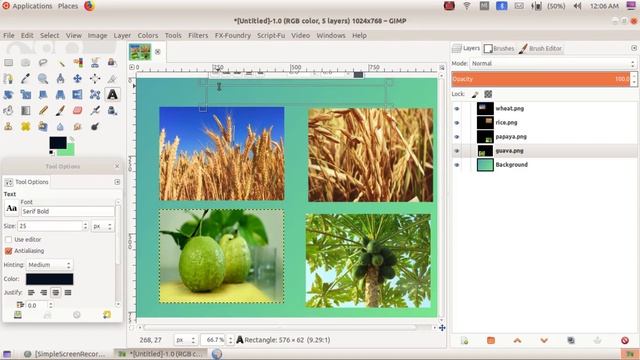 JIMP IMAGE EDITOR - MAKING PHOTO ALBUM in GIMP \\ ICT Pre Course - സമഗ്ര3.3, 3.4 \\Part 2 смотреть онлайн