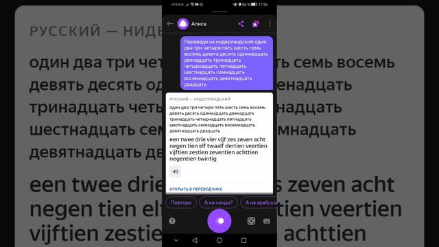 Алиса и недирландский 😂