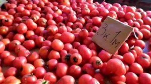Баку❣ НА БАЗАР ЦЕНЫ НА ОКТЯБРЬ ?ВСЕ ОЧЕНЬ ДЁШЕВО? Baku to the bazaar everything is cheap ?