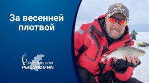 За весенней плотвой на Горьковское водохранилище. Сработал план «Б».