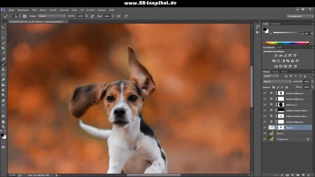 Bella - Hundefotoretusche in Photoshop CC by BB SnapShot смотреть онлайн