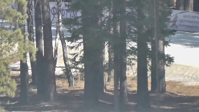 Светлана Слепцова прёт как танк в мегамасстарте (15 км) смотреть онлайн