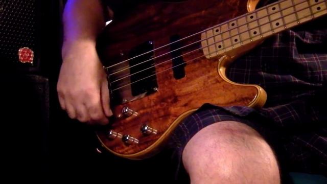 Miguel del Valle bassist ,this time trying the Ditto X2 Looper . смотреть онлайн