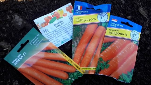 Посев моркови и свёклы 2022. смотреть онлайн
