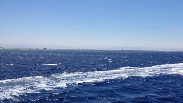 IMG 0827 - Египет-4 - серфинг в Красном море смотреть онлайн
