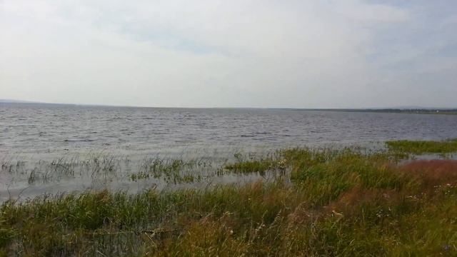 Озеро Тасей Читинский район, Забайкальский край смотреть онлайн