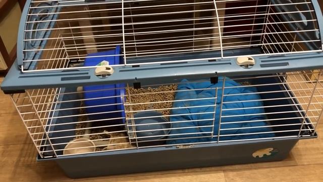 Как оставить питомцев одних дома? PETS смотреть онлайн