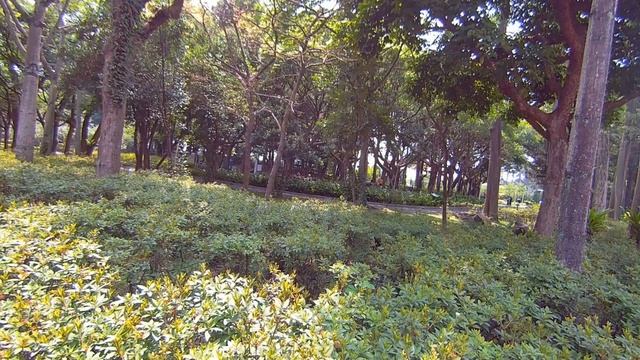 分享萬花筒-SJCAM C300開箱 #sjcam #insta360x3 #運動相機 #開箱 смотреть онлайн