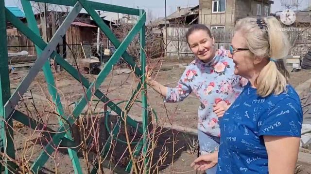 Как зимуют ПЛЕТИСТЫЕ РОЗЫ, советы и опыт Ани и ее мамы смотреть онлайн