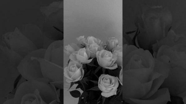 ARCHI - Вера внутри