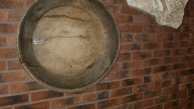 За Орхидеей в Чёрный Лес | ШВАРЦВАЛЬД | Phal. Saporita, aroma смотреть онлайн