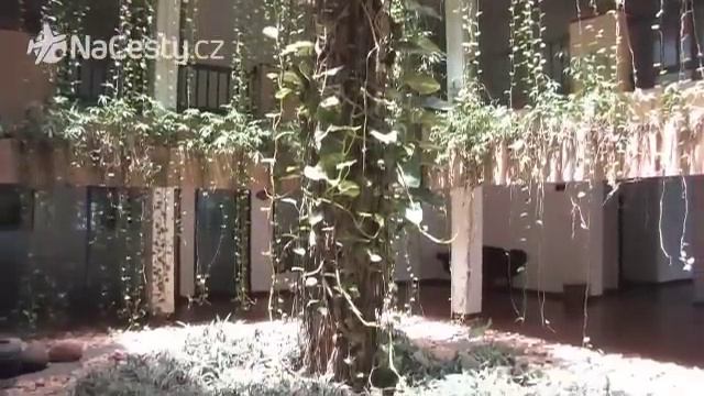 Srí Lanka - Dolphin 3* смотреть онлайн