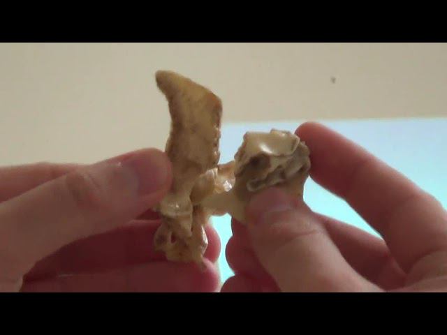 Семинар Краниосакральная терапия 2 КСТ2_030 смотреть онлайн