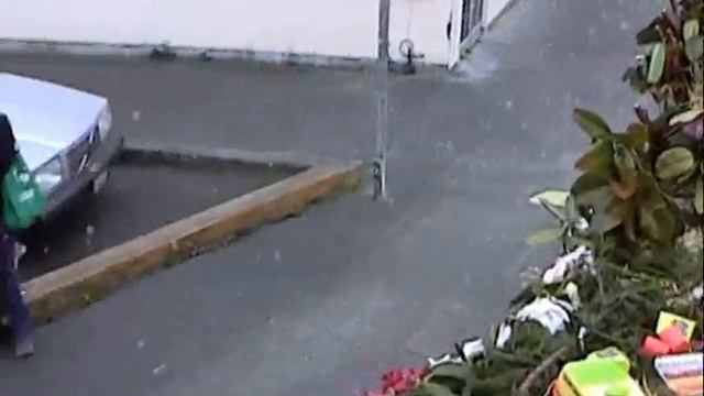 Rhody Parade 2009 Eureka, CA Part 1 of 3 смотреть онлайн