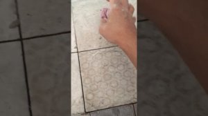 Как снять(демонтировать) первую плитку кафеля не сломав.