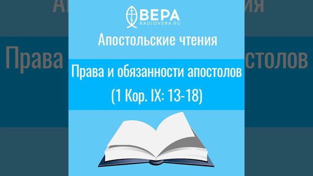 Апостольские чтения. Права и обязанности апостолов. Комментирует священник Дмитрий Барицкий смотреть онлайн