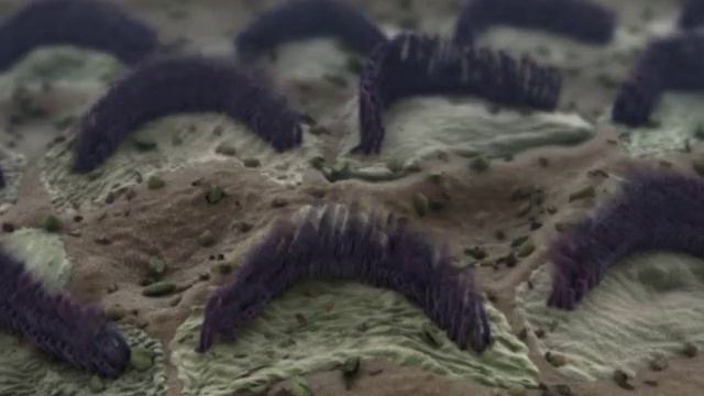 3d Demo Reel (bacteriophage T4 and stereocilia) - medical animation смотреть онлайн