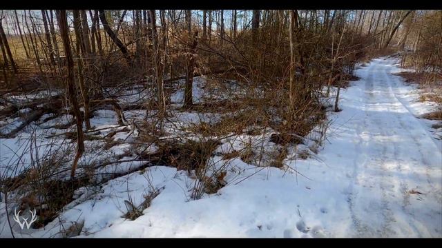 Influence Deer Movement By Creating Trails смотреть онлайн