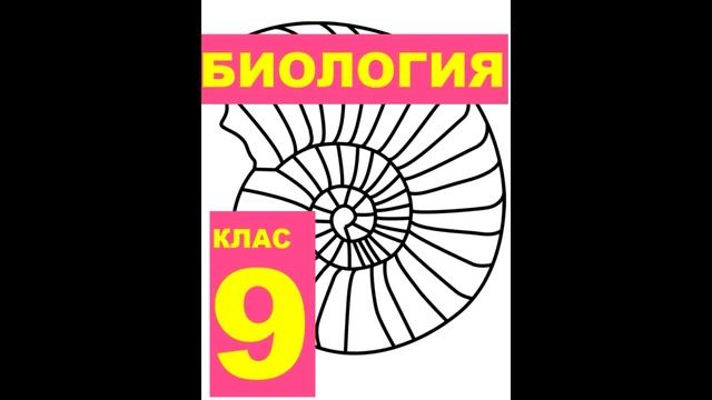 § 7 Особенности клеточного строения организмов. Вирусы смотреть онлайн