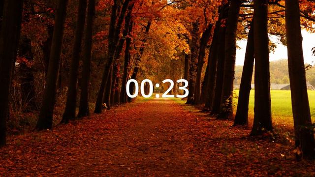 Study With Me #274 🍁 | Chill Lofi 🎶 | 2 Hours (45/15 pomodoro format) ⏰ смотреть онлайн