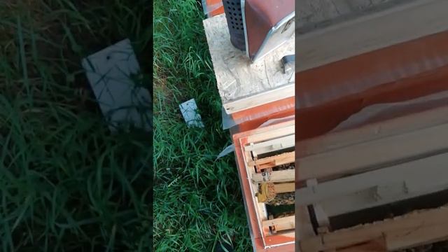 Матки ИО начали свою работу смотреть онлайн