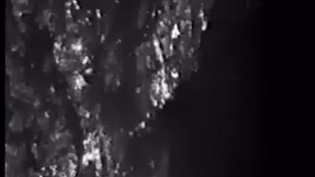 Blair Witch, Volume II: The Legend of Coffin Rock. Вступление, ФАРГУС. смотреть онлайн