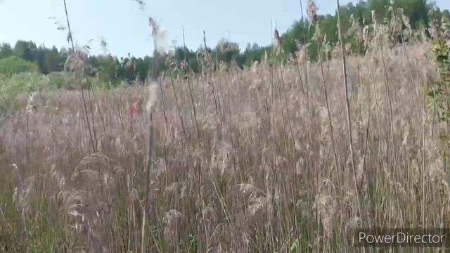 Особенности рыбалки в период самоизоляции. Часть 2. смотреть онлайн